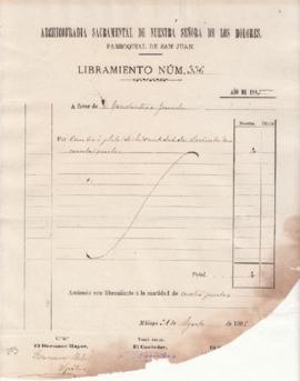 Libramiento 336